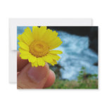 Harmony with Nature invitations