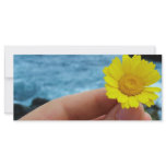 Harmony with Nature rack cards