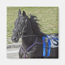 Harness Racing Square Magnet