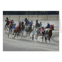 Harness Racing The Last Turn Card