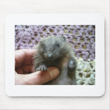 Harold the Hedgehog Mousepad