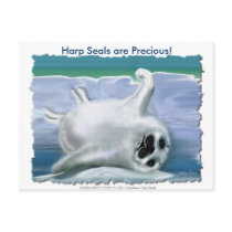 HARP SEAL BABY POST CARDS