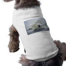 Harp Seal on Ice Pet T-shirt