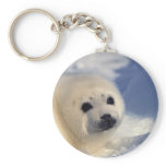 Harp Seal Pup keychains