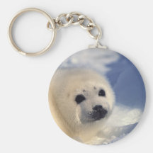 Harp Seal Pup Keychains