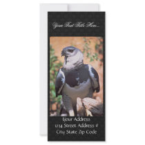 Harpey Eagle Rack Card Template