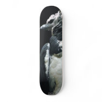 Harpy Eagle Skate Boards