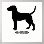 Harrier Print