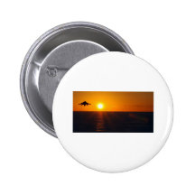 "HARRIER SUNRISE" PIN