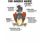 Harris Hawk Cartoon t-shirts