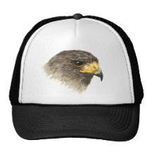 Harris Hawk - Mixed Medium Hat