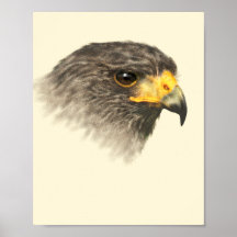 Harris Hawk - Mixed Medium Print