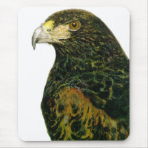 Harris Hawk Mouse pad