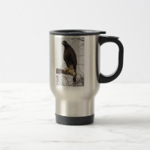 Harris Hawk Mug