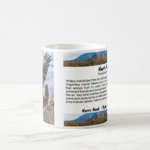 Harris Hawk- pastel Coffee Mug