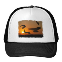 Harris Hawks Hunting Hat