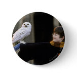 Harry and Hedwig 3 buttons