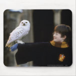 Harry and Hedwig 3 Mousepads