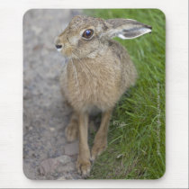 Harry Hare Mousemat mousepads