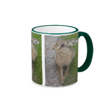 Harry Hare Mug