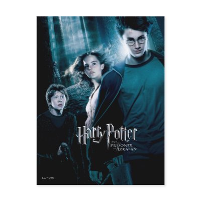 Harry Potter Ron Hermione In Forest Postcard