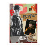 Harry Potter Posters