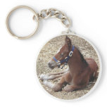 hartlandfoal keychains