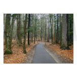 Hartwick Pines Greeting Card