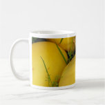 harvest 10 mug
