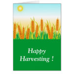 Harvest festival