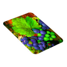 Harvest Grapes Rectangular Magnet
