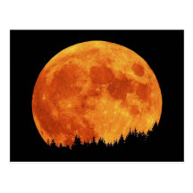Harvest-Moon Postcard