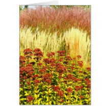 Harvest Note Card Collection