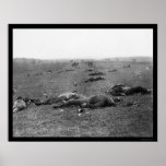 Harvest of Death at Gettysburg, PA 1863 posters