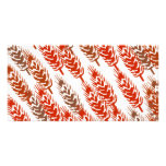 harvest pattern with wheat photo cards