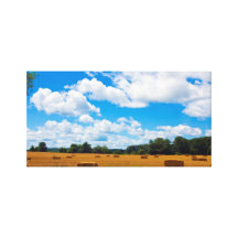 Harvest Time Stretched Canvas Print