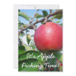 Harvest Time Invitation