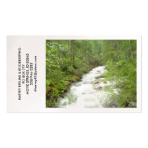 HARVEY RESUME & BOOKKEEPING BUSINESS CARD