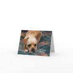 Has Anyone Told You? cards