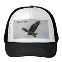 Hat/ Bald Eagle with fish