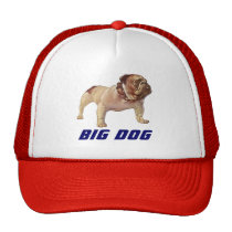 HAT BIG DOG Bulldog OTR Trucking Trucker's Mover's hats