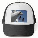 Hat, "Bird and Flags"