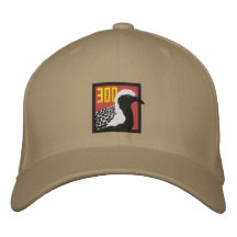 Hat: Jonathan's 300th County Bird Embroidered Baseball Cap
