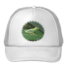 Hat Template - Customized