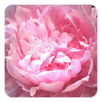 Hatched Pink Peony Square Sticker