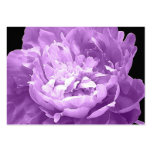Hatched Purple Peony business cards