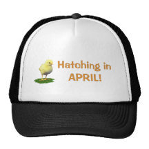 Hatching in April! Maternity/Pregnant Due In April