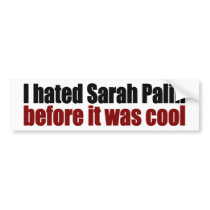 Hated Palin before it was cool