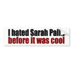 Hated Palin before it was cool bumper stickers