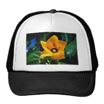 Hau Tree, Pacific Islands  flowers Hats